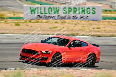 media/May-10-2025-Cobra Club (Sat) [[7b9c5022b1]]/Passenger/